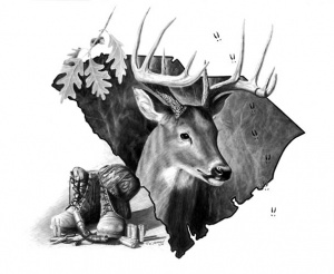South Carolina Traditions Whitetail Deer Print
